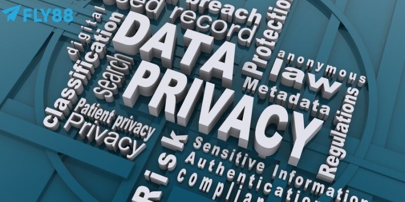 Quyền riêng tư FLY88 cùng các biện pháp ngăn ngừa rủi ro